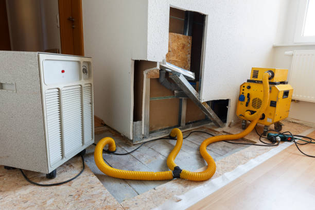 Best Industrial Mold Remediation  in Ramsey, NJ